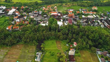 Hermosas-Imágenes-Cinematográficas-De-Ubud,-Bali-Drone-Con-Exótica-Terraza-De-Arroz,-Pequeñas-Granjas-Y-Plantaciones-Agroforestales-Nubladas