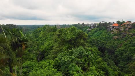 Wunderschöne-Filmische-Ubud--Und-Bali-Drohnenaufnahmen-Mit-Exotischen-Reisterrassen,-Kleinen-Bauernhöfen,-Dorfhäusern-Und-Agroforstplantagen