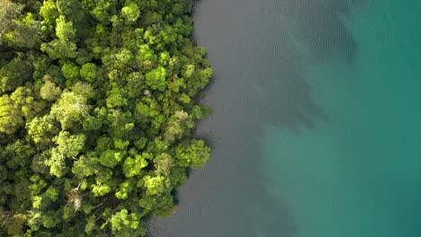 Lake-Eacham-top-down-aerial-with-rainforest-and-turquoise-water,-Atherton-Tablelands,-Queensland,-Australia