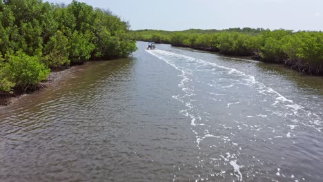 Touristen-Segeln-Auf-Dem-Fluss-Mit-Dichtem-Mangrovenwald-In-Manglares,-San-Crisanto,-Yucatan,-Mexiko
