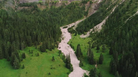 Luftaufnahme-über-Dichtem-Waldwaldweg-Am-Talhang-Der-Südtiroler-Plose-Peitlerkofel