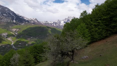 Spring-in-mountains-with-green-forests-and-slopes-covered-in-snow