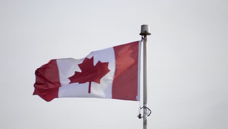 Kanadische-Flagge-Weht-Im-Wind,-Statisch