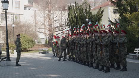 Reihen-Von-Soldaten,-Die-Bei-Der-Gedenkparade-Waffen-Mit-Nationalflaggen-Präsentieren
