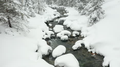 Foque-Abajo-De-Calm-Creek-En-Paisaje-Cubierto-De-Nieve