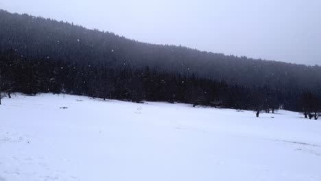 Verschneiter-Tag-In-Den-Bergen-Mit-Wald-Im-Hintergrund