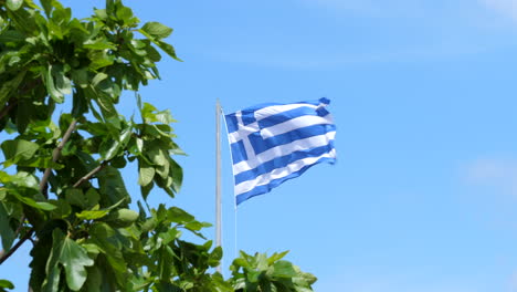 Bandera-Griega-Ondeando-En-Viento-Feroz,-Hojas-Verdes-En-Primer-Plano-Estático