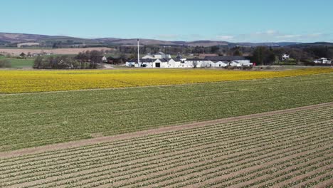 Vista-Aérea-De-La-Destilería-De-Whisky-Fettercairn-En-Un-Soleado-Día-De-Primavera,-Aberdeenshire,-Escocia