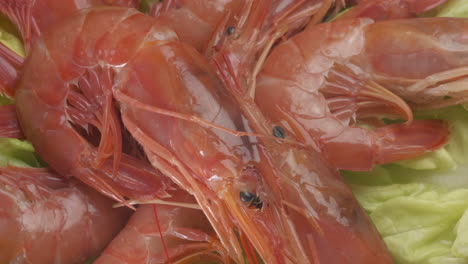 Rote-Argentinische-Garnelen,-Meeresfrüchte,-Rotierend-Auf-Salat
