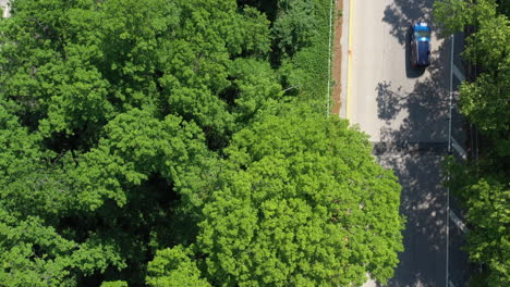 Ein-Blick-Von-Oben-Auf-Einen-Parkweg-Mit-üppigen-Grünen-Bäumen