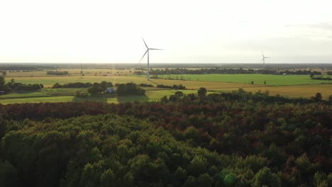 Windmühlen-Bei-Sonnenuntergang-über-Dem-Herbstwald