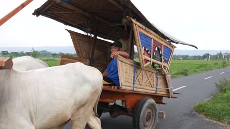 Yogyakarta,-Indonesia---Mar-3,-2021-:-Farmers-drive-ox-carts-in-the-rice-fields