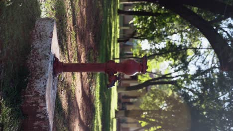 Antiguo-Hidrante-Rojo-En-El-Parque