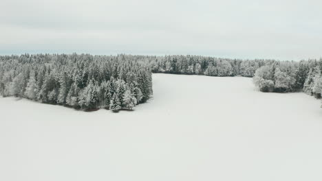 Luftaufnahmen-Von-Wäldern,-Die-In-Einer-Wunderschönen-Schneebedeckten-Landschaft-Stehen