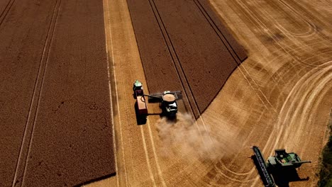 Harvest-time,-farmers-on-the-field-harvesting-whit-using-combain---Harvester--tractors-and-trailers