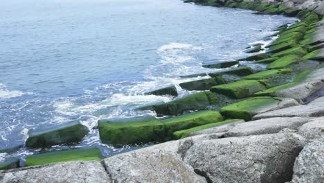 Sea-waves-crashing-on-mossy-wave-breaker-rocks,-pan-shot