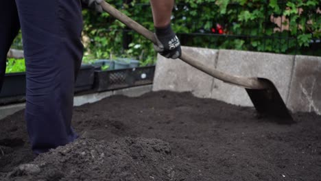 Close-Up-Of-Male-Figure-Levelling-Garden-flower-Bed-Soil-With-A-Shovel