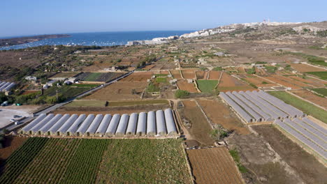 Landwirtschaftliche-Küstenlandschaft-Mit-Feldern-Und-Silos,-Malta,-Antenne