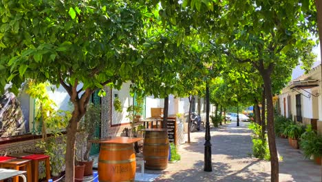 Geschlossene-Bar-Mit-Orangenbäumen-In-Einer-Typischen-Kleinen-Engen-Spanischen-Straße-Mit-Häusern-In-Der-Altstadt-Von-Marbella,-Spanien,-Sonniger-Tag-Und-Blauer-Himmel,-4K-Schwenk-Nach-Links