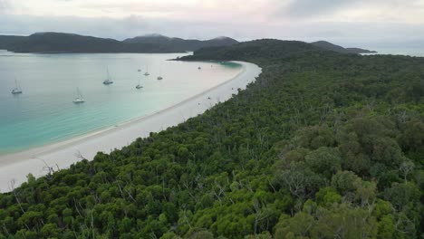 Rugged-thick-forest-jungle-abuts-idyllic-sandy-beach-with-sailboats