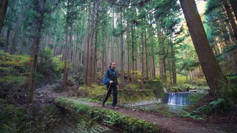 Estático,-Excursionista-Cruza-El-Puente-Junto-A-La-Cascada-En-Un-Exuberante-Bosque-De-Pinos,-Japón