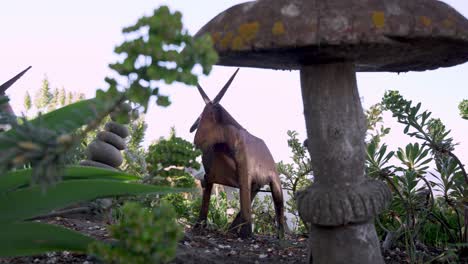 Elk-and-fungus-figure-decorations-in-the-garden