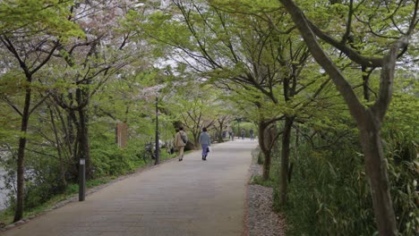 Parque-Junto-Al-Río-Uji,-Primavera-En-Kyoto-Japón-En-Un-Día-Cálido
