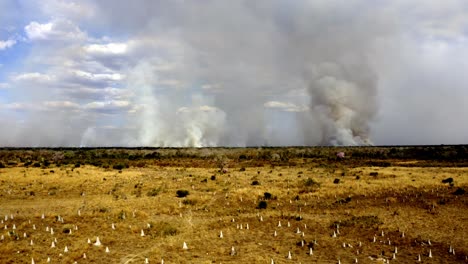 Rauch-Verschmutzt-Den-Himmel-über-Dem-Brasilianischen-Pantanal,-Während-Abholzungsbrände-Das-Gleichgewicht-Der-Natur-Zerstören-–-Luftaufnahme