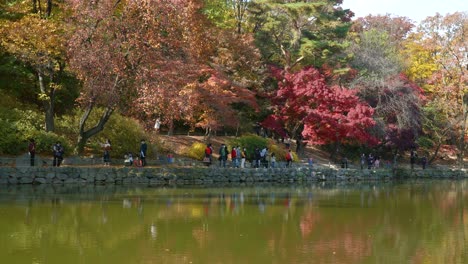 Groups-of-people-walking-on-stone-pagoda-of-Chundangji-pond-in-Autumn-during-covid-19-in-Seoul