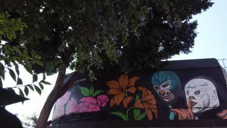 Straßenkunst-Traditioneller-Mexikanischer-Ringer,-Lucha-Libre-Wrestling,-In-Colonia-Juárez,-Mexiko-Stadt