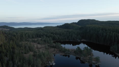 Panorama-Of-Lakes-Surrounded-With-Thick-Green-Forest-At-The-Countryside