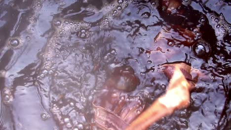 Bubbles-Form-On-Water-Surface-During-Dyeing-Textiles-With-Organic-Red-Madder-Dye