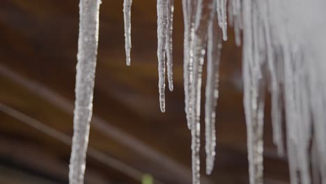Ice-spikes-melting-in-slow-motion-at-wintertime-with-camera-movement