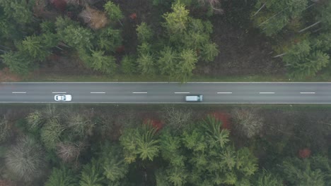 Straight-street-in-a-foggy-forest,-top-down-4K-shot-rising-up-by-drone