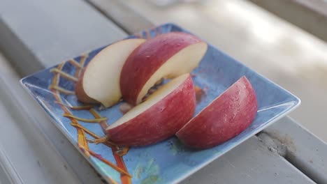 group-of-cut-apples-on-a-colorful-decorative-plate-in-a-window