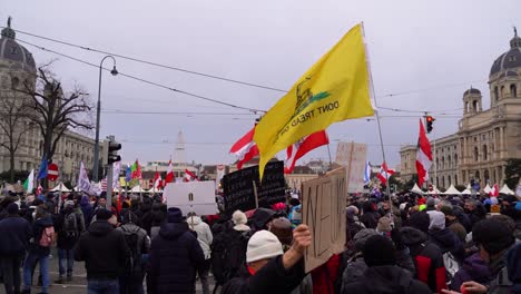 Multitud-Masiva-De-Manifestantes-Derechistas-Con-La-Bandera-De-Gadsen-En-Alto