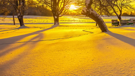 Ein-Langer-Blick-Auf-Den-Im-Schnee-Und-Nebel-Eingefrorenen-Bienenkasten-Mit-Den-Bäumen-Vor-Einem-Natürlichen-Hintergrund-Mit-Einer-Hellen-Sonnenlichtreflexion-Im-Zeitraffer