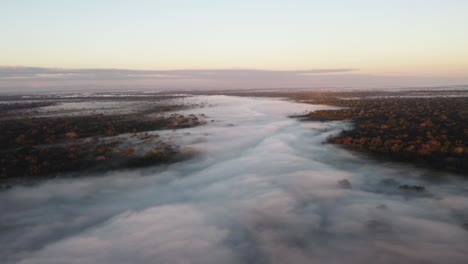 Sonnenaufgang-über-Dem-Amazonas-Regenwald,-Luftaufnahme