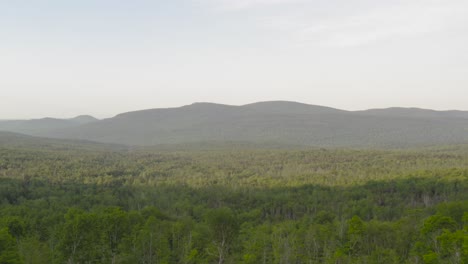 Vast-aerial-view-flying-over-forestry-stretching-unto-mountains