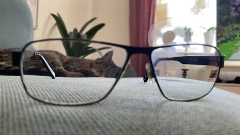 Katze-Ruht-Durch-Die-Brille-Auf-Der-Couch