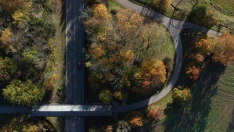 Top-down-view-at-autumn-trees-and-a-red-car-driving-up-the-street