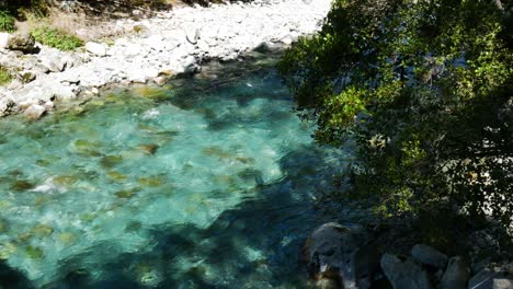 Tranquil-and-crystal-clear-river-near-Lake-Marian-during-sunny-day-in-Jungle---Hiking-in-Fiordland-National-Park---Close-up-top-down