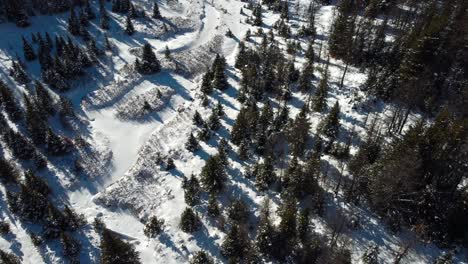 Wiese-Im-Wald-Mit-Schneebedeckter-Bergdecke