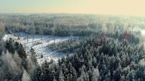 Cinematic-aerial-shot-of-light-snow-falling-over-snow-covered-forested-landscape