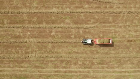 Tractor-pulling-loader-collecting-dry-grass-in-windrow-lines,-top-down-aerial