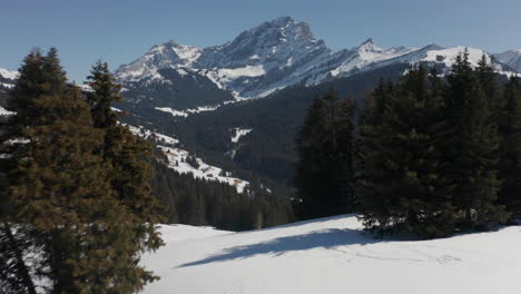 Filmische-Luftaufnahme-Vorbei-An-Kiefern-Und-Der-Blick-Auf-Ein-Wunderschönes-Schneebedecktes-Tal
