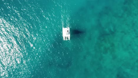 Ein-Blick-Aus-Der-Vogelperspektive-Auf-Ein-Einsames-Weißes-Katamaran-Segelboot,-Das-Auf-Dem-Ruhigen,-Klaren,-Türkisfarbenen-Meerwasser-Vor-Der-Küste-Spaniens-Entlangsegelt