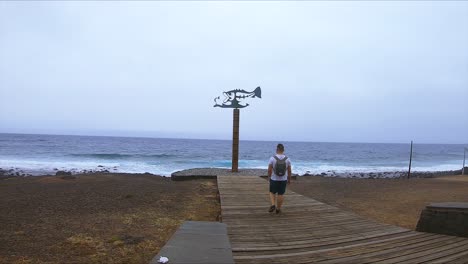 Boy-Walking-on-a-Walkway-with-a-Fish-Sculpture-Towards-the-Ocean