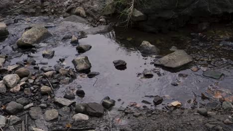 A-small-stream-of-water-running-through-woodland-on-English-farmland-in-Lancashire