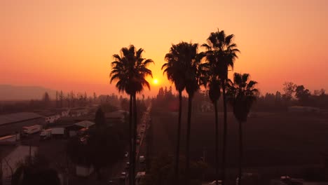 Warm-sunset-shows-the-shadows-of-palm-trees-in-urban-town